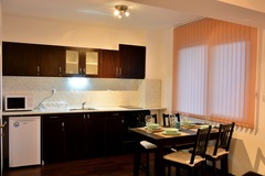 Monthly Apartment Rentals: Studio apartment  in "Saint Anastasia" Bansko