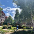 Monthly Apartment Rentals: Spacious 1-Bedroom Apartment 