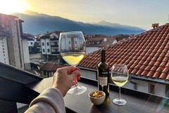 Monthly Apartment Rentals: New Mountain View Apt | Perfect for Nomads